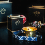 When It's Time to Say Goodbye: Pet Funeral Services in Bangalore