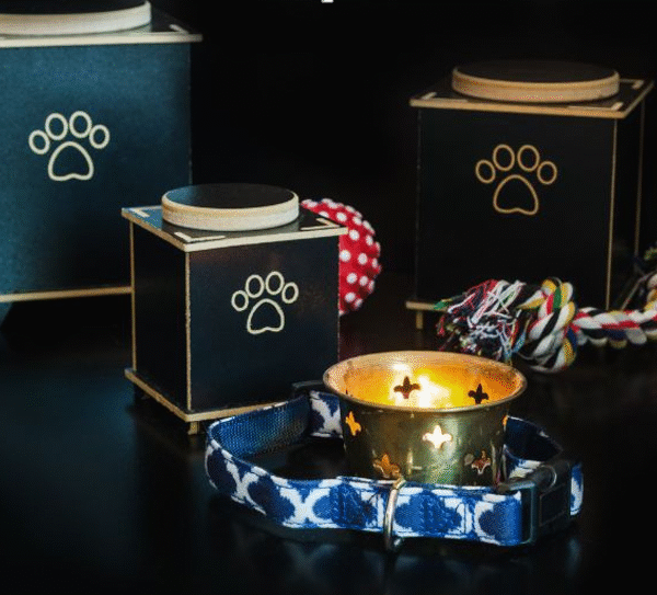 When It's Time to Say Goodbye: Pet Funeral Services in Bangalore