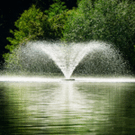 Understanding Kasco Fountain Spray Patterns: A Buyer's Guide