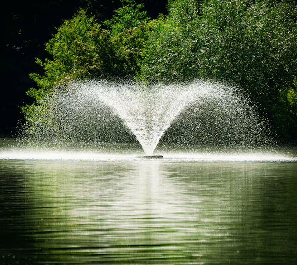 Understanding Kasco Fountain Spray Patterns: A Buyer's Guide