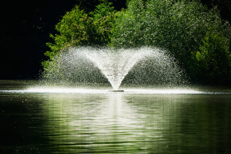 Understanding Kasco Fountain Spray Patterns: A Buyer's Guide