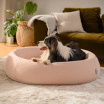 How to Choose the Perfect Nest Dog Bed for Your Furry Friend