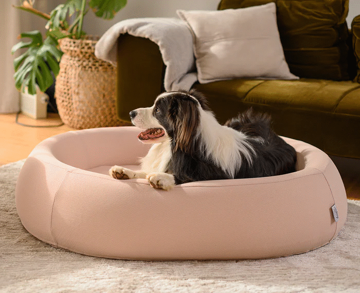 How to Choose the Perfect Nest Dog Bed for Your Furry Friend