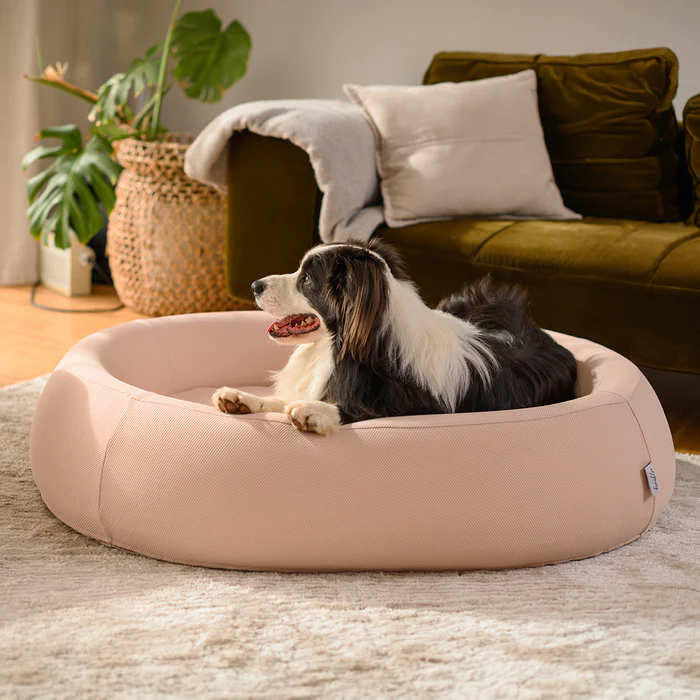How to Choose the Perfect Nest Dog Bed for Your Furry Friend