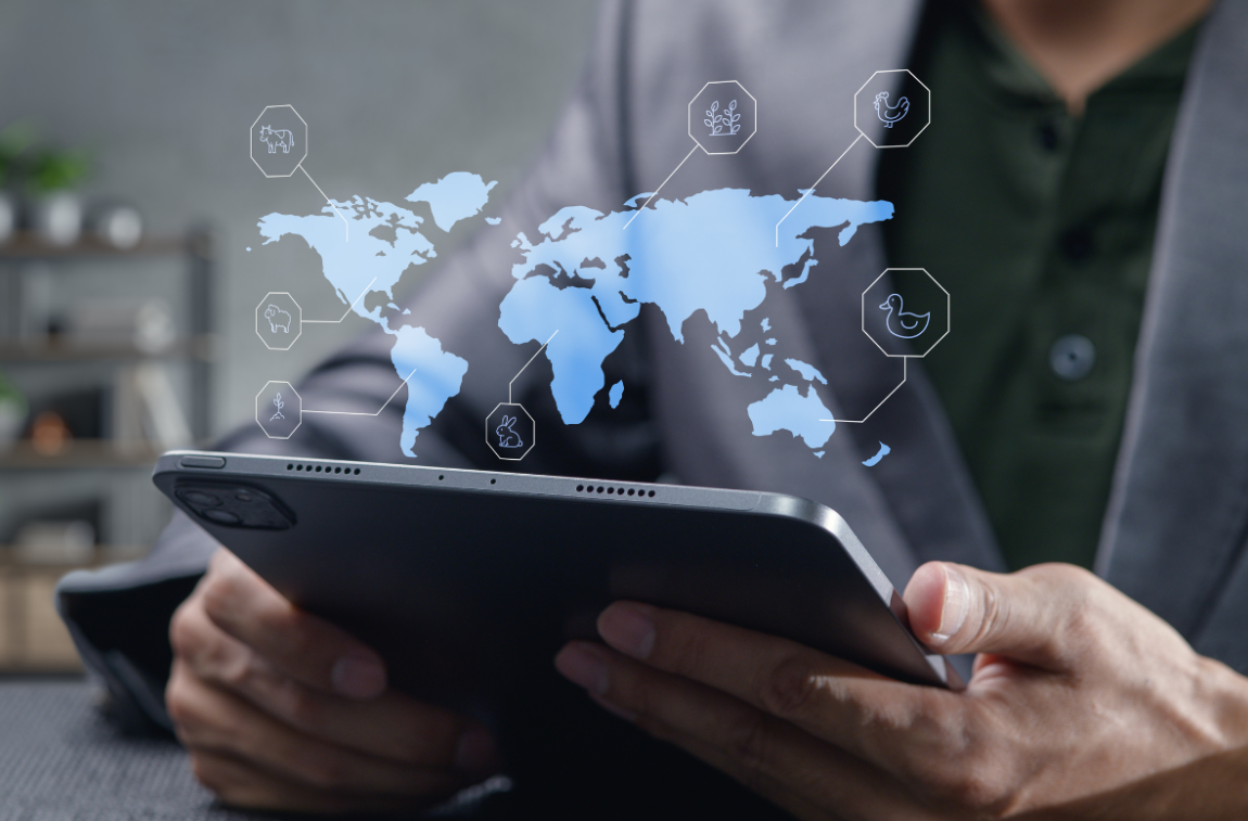 5 Strategies for Private Enterprises to Expand from Regional to Global