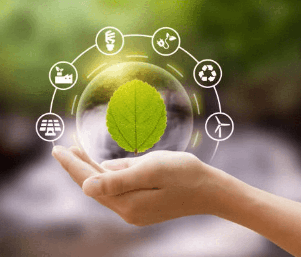 5 Tips for Building Sustainable Business Practices